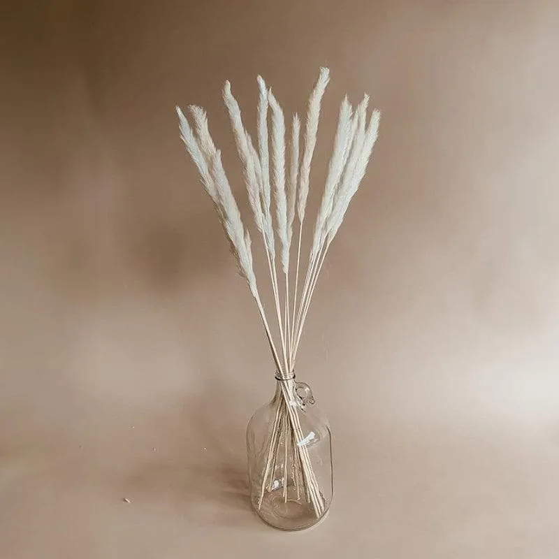 Mini Naturally Dried Pampas Stems (White) - Set Of Ten media 3