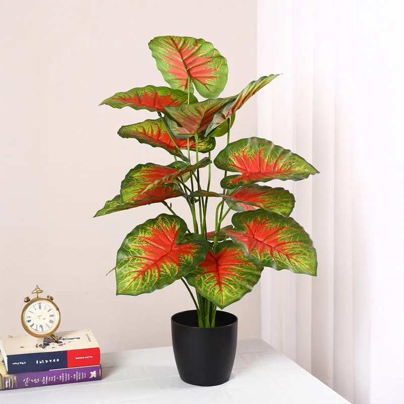 Calena Artificial Caladium With Black Plastic Pot - Red media 3