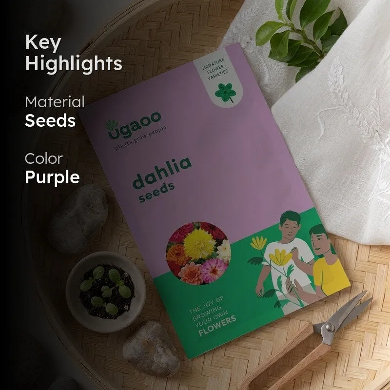 Ugaoo Dahlia Seeds media 2