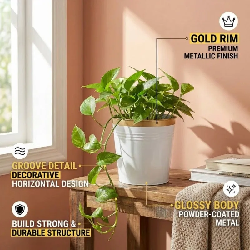 Leafora Iron Planter - White media 7
