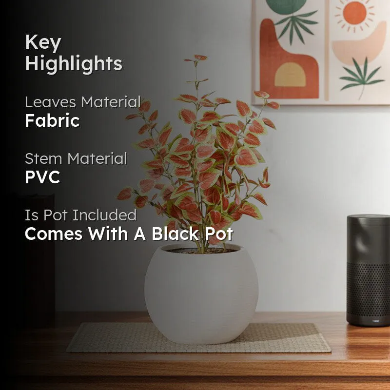 Artificial Natural Looking Coleous Big Plant With Black Fiber Pot (Orange) - 1.4 Feet media 2