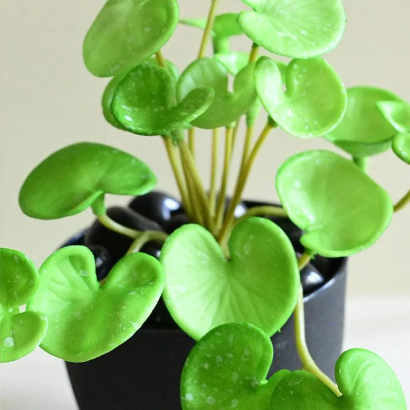 Pennelle Artificial Leaf Pennywort With Black Plastic Pot (Light Green) - 13 cm media 6