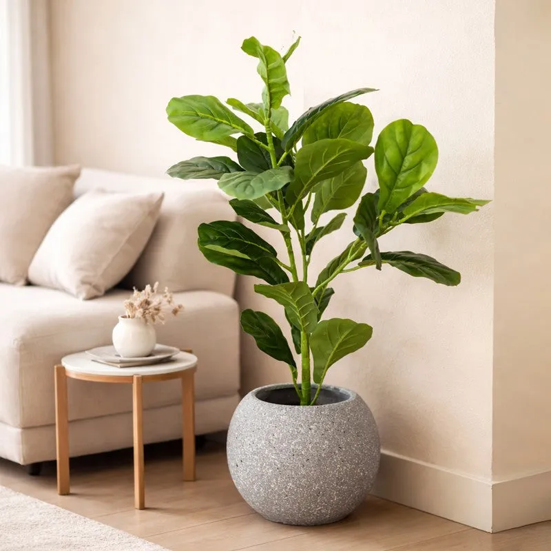 Leaf Aura Fiddle Artificial Plant With Black Plastic Pot - 89 cm (2.9 ft) media 9