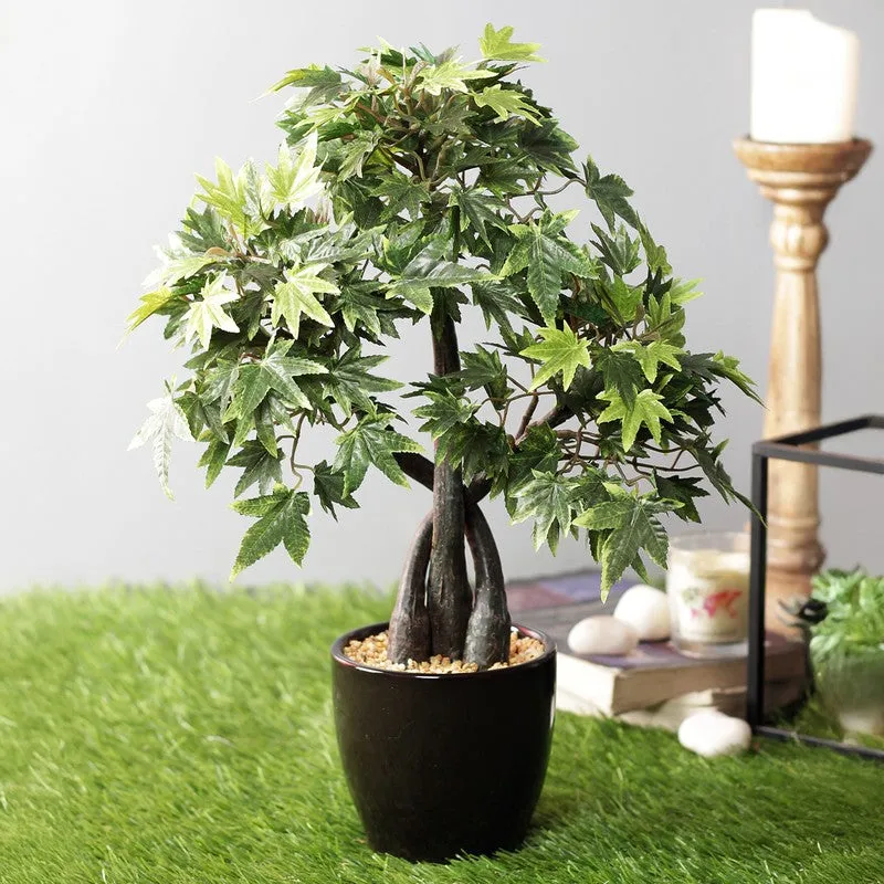 Artificial Green Maple Bonsai Plant With Ceramic Pot - 1.3 Feet media 1