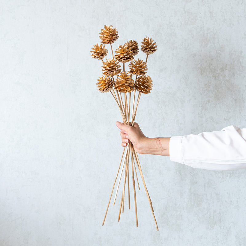 Enoira Dried Pine Cone Stick (Gold) -Set Of Ten