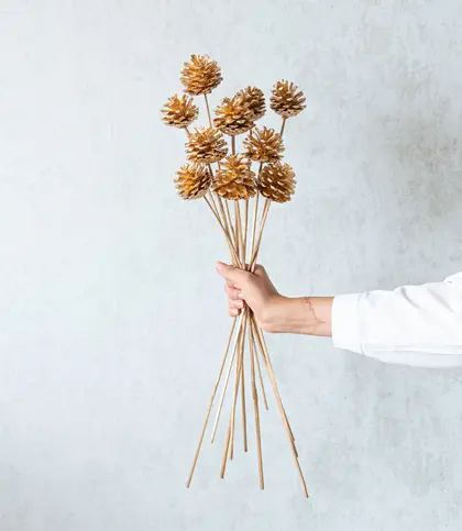 Dried Flowers & Leaves