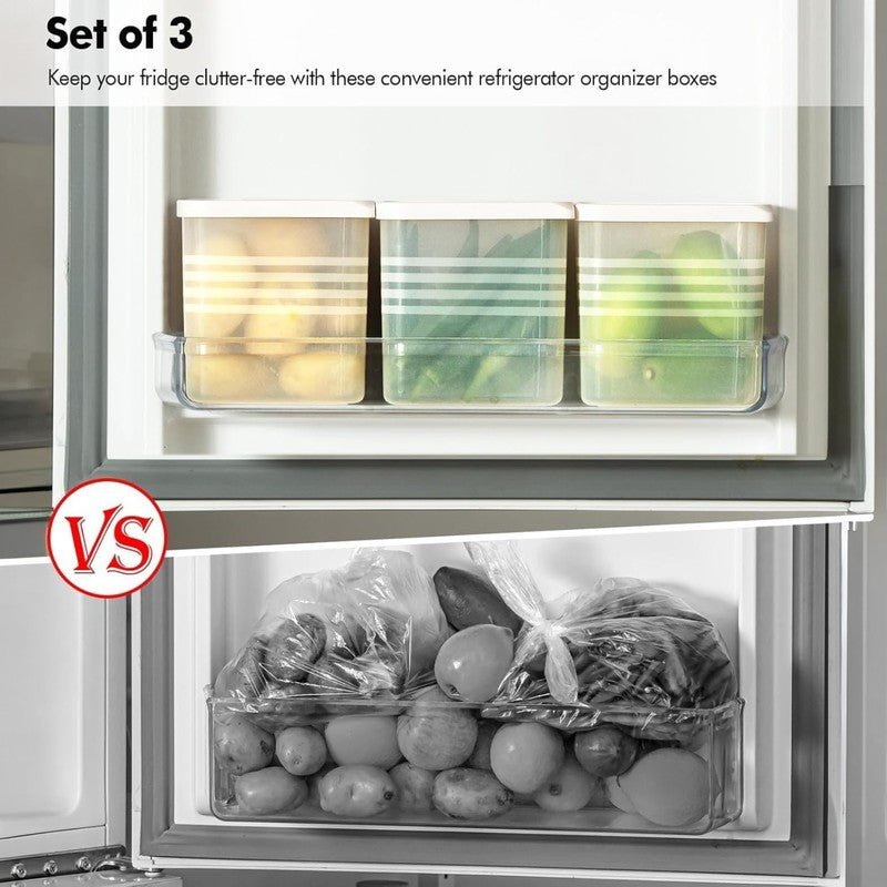 Plastic Containers with Lid (250 mL Each) - Set Of Six media 8