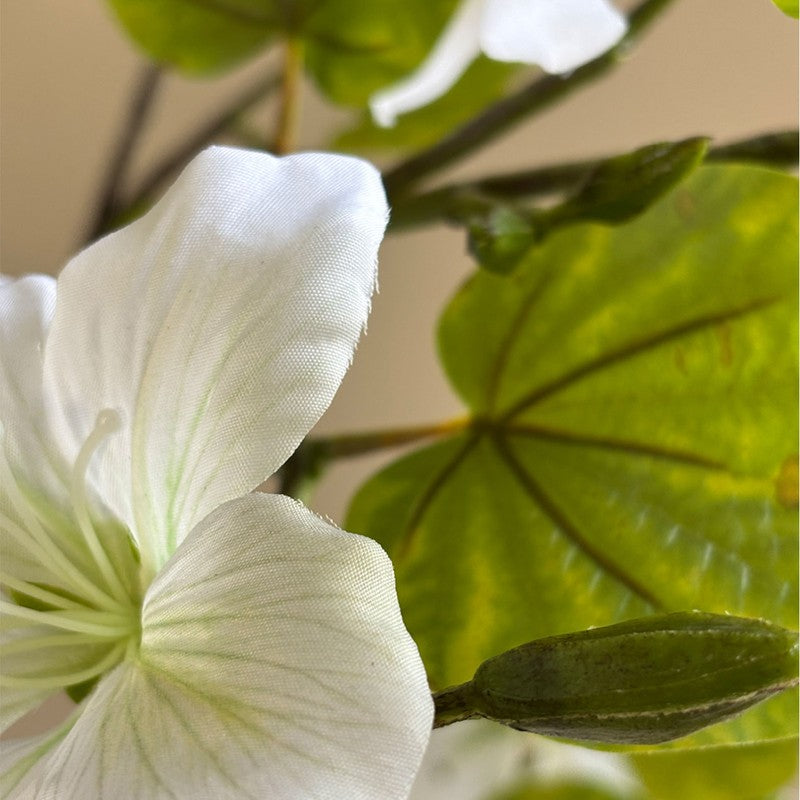 Bauhinia Artificial  Plant With Black Plastic Pot (White,Green) - 160 cm (5.2 ft) media 7