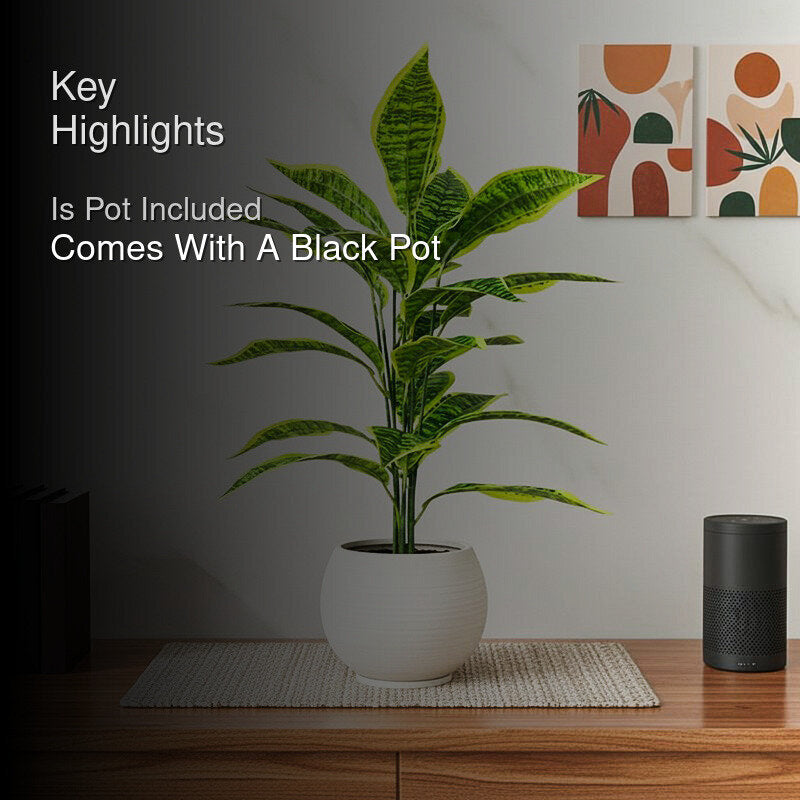 Faux Everlasting Snake Plant With Black Plastic Pot - 71 cm (2.3 ft) media 2