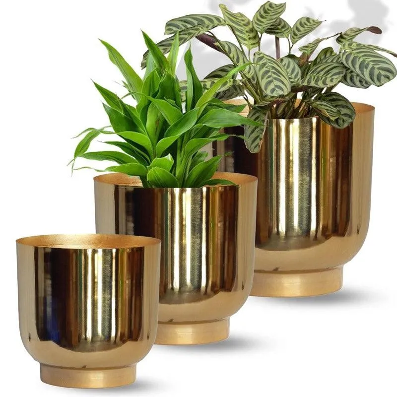 Nishma Golden Planter - Set Of Three media 6