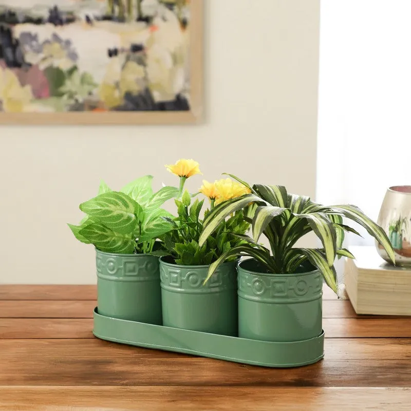 PetalPod Planters with Tray - Green media 3