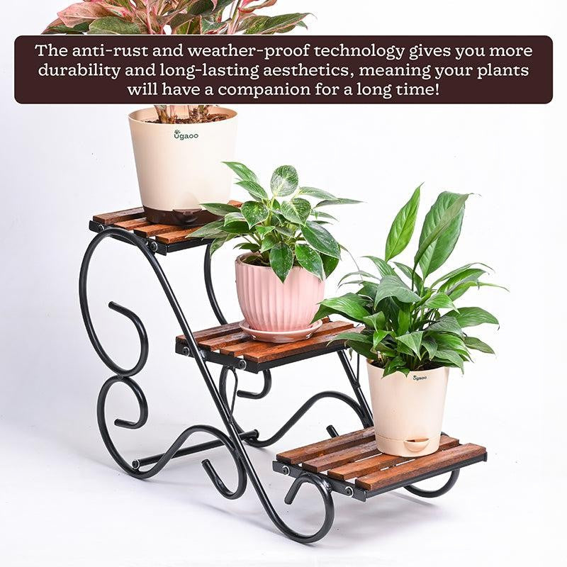 Bramble Perch Three Tier Metal Plant Stand - Black & Brown media 6