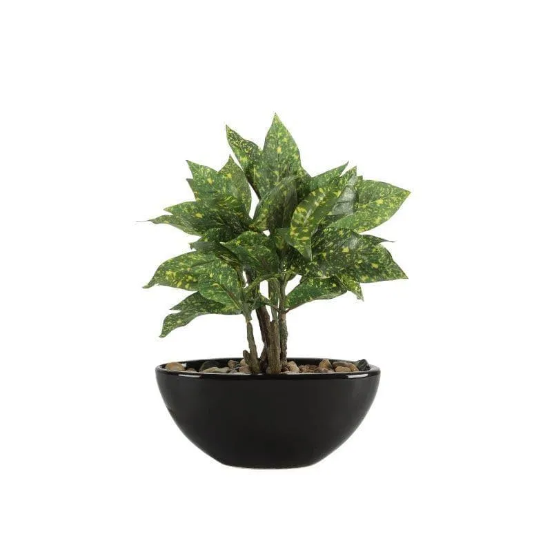 Faux Codiaeum Bonsai In Bowl Pot (29 cms) - Green media 4
