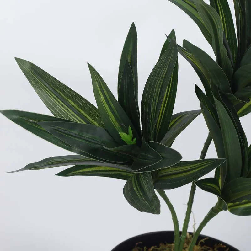 Faux Lush Dracaena Reflexa Plant With Black Plastic Pot (Dark Green) - 1.3 Feet media 4