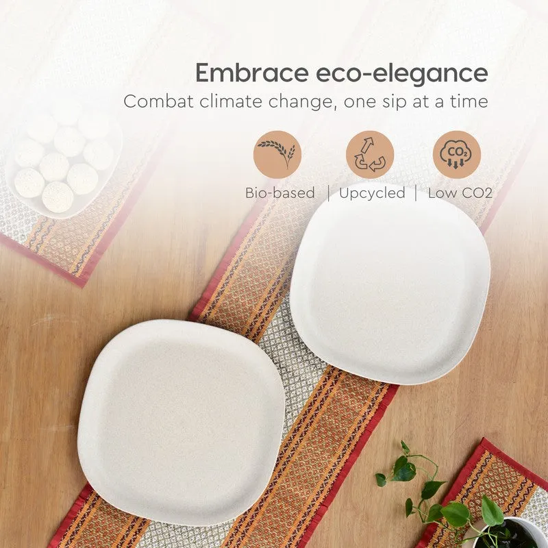 Whitewood Dinner Plate - Set Of Four media 7