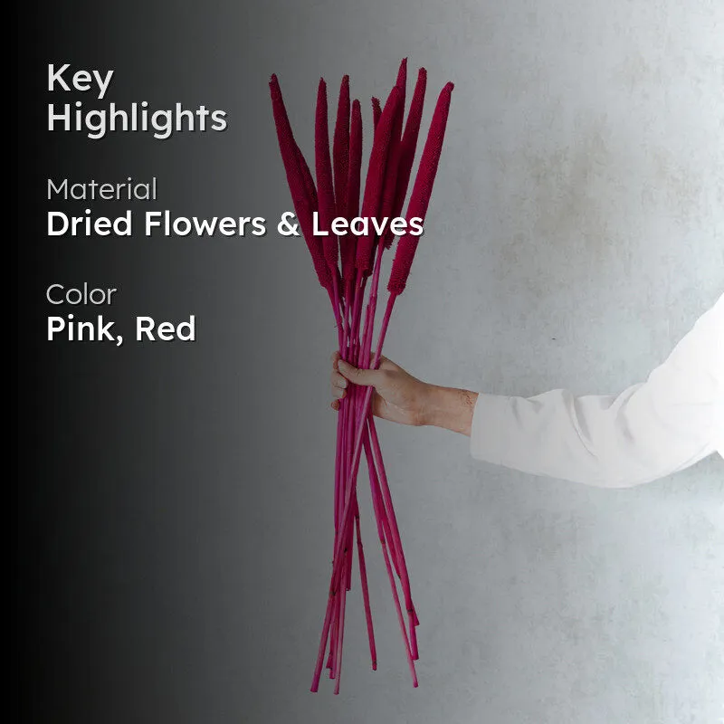 Sival Dried Millet Stick (Red & Pink) - Set Of Ten media 2