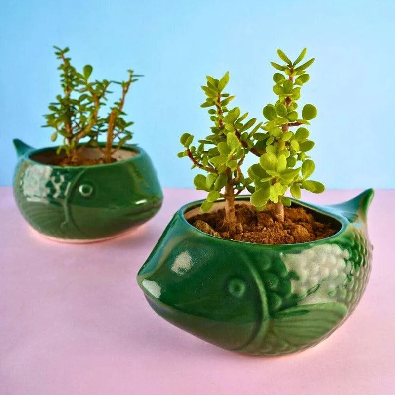 Catfish Green Planter media 4