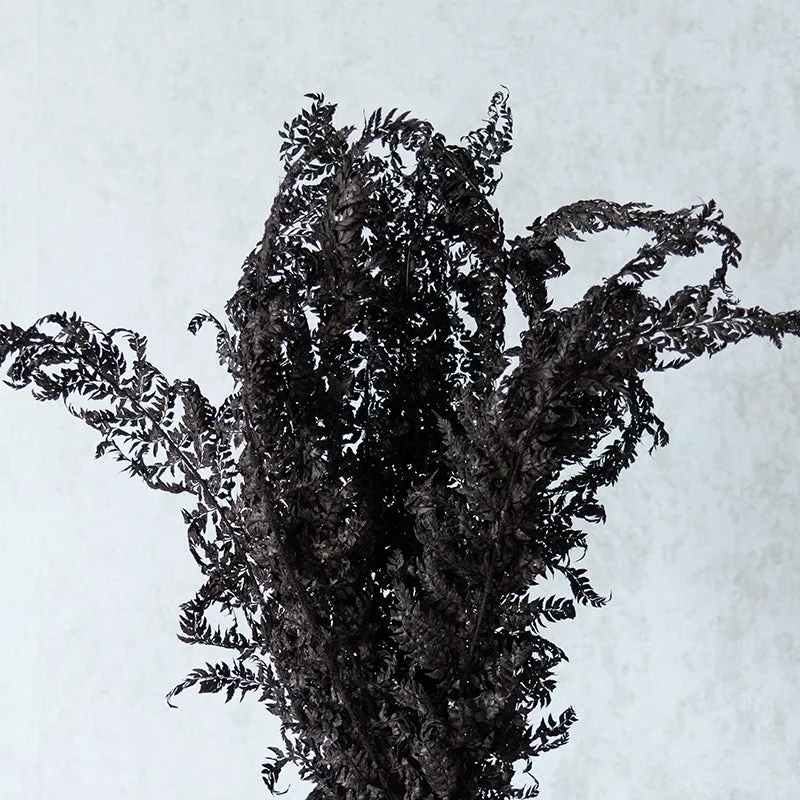 Zineeya Naturally Dried Bunch - Set Of Twelve media 1