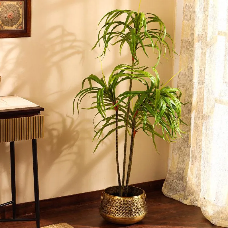 Artificial Realistic Dracaena Plant With Black Plastic Pot - 4.9 Feet media 1