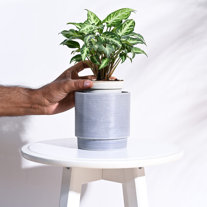 UGAOO Oslo Planter for Home & Balcony Garden- Light Grey media 5