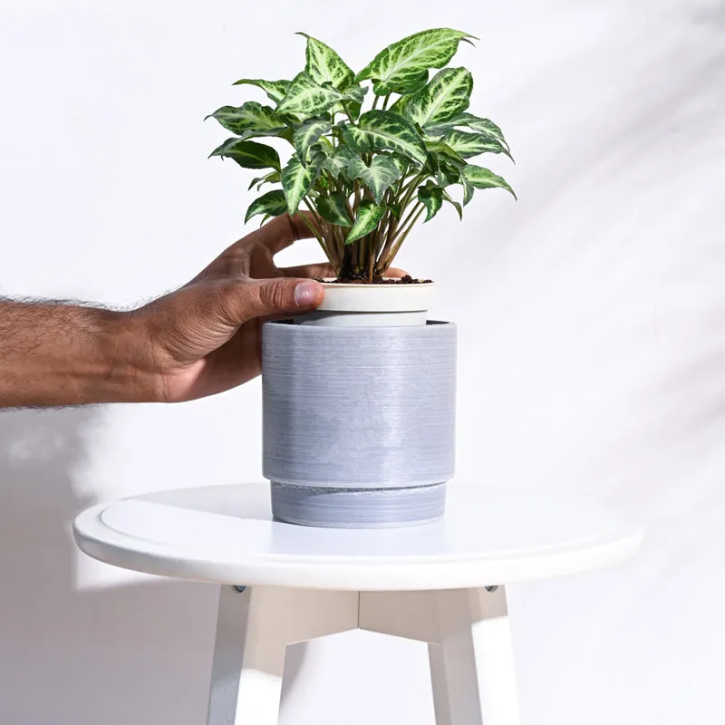 UGAOO Oslo Planter for Home & Balcony Garden- Light Grey media 5
