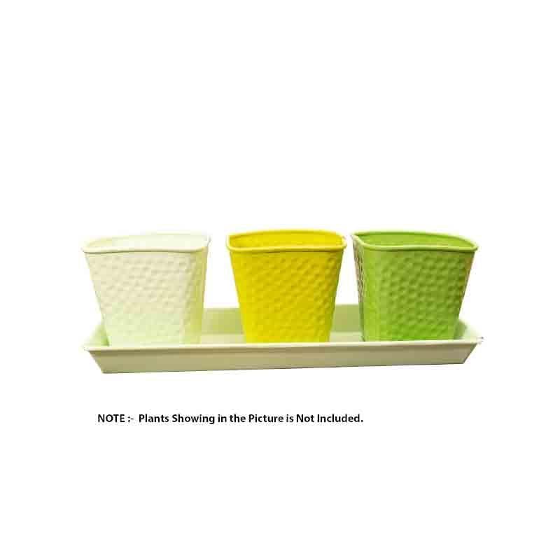 Herbster Planter - Set Of Three media 6