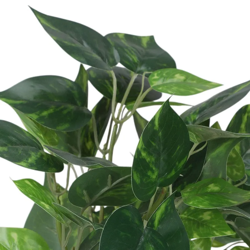 Artificial Money Plant With Black Plastic Pot media 2