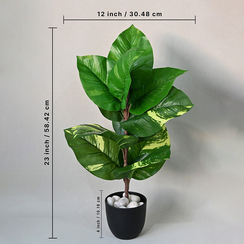 Faux Everlasting Dieffenbachia Plant With Black Plastic Pot - 58 cm media 5