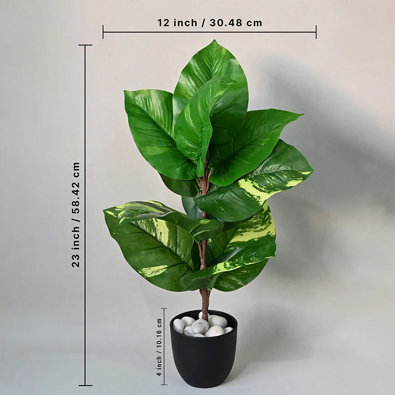 Faux Everlasting Dieffenbachia Plant With Black Plastic Pot - 58 cm - 5