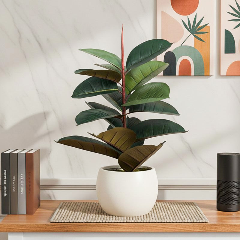 Urban Luxe Artificial Rubber Plant Without Pot - 2.1 Feet