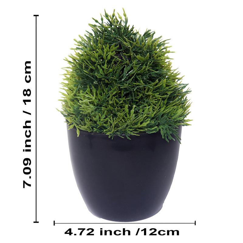 Faux Sherry Plant With Black Plastic Pot - Set Of Three media 5