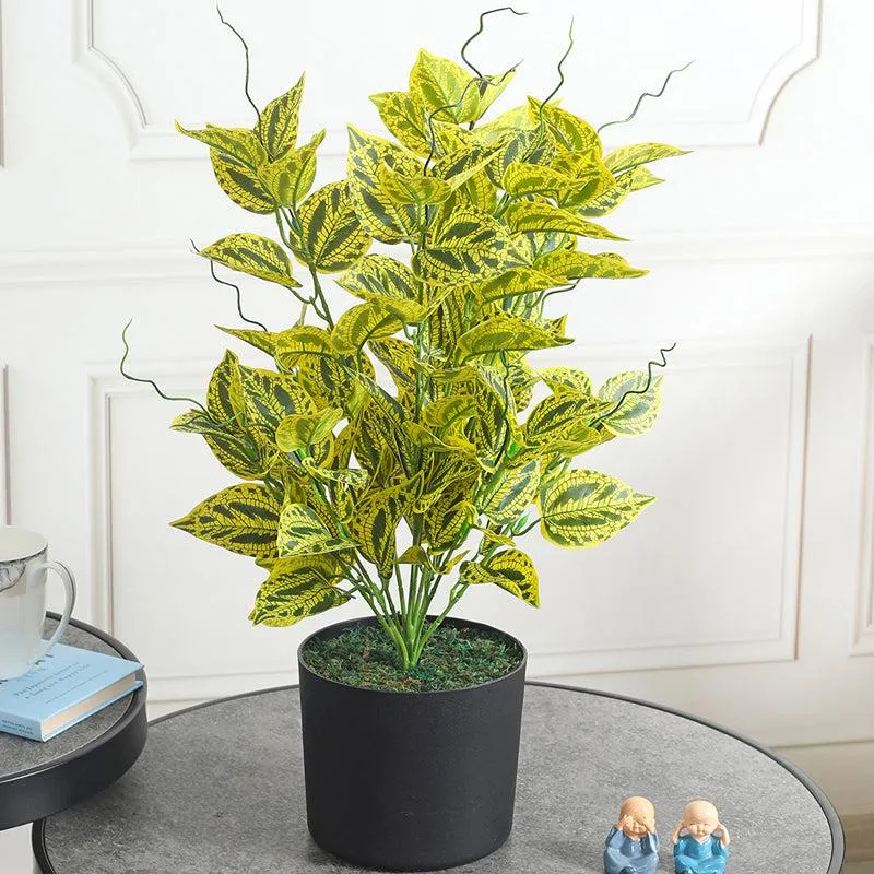 Botanic Dream Artificial Plant With Black Plastic Pot media 2