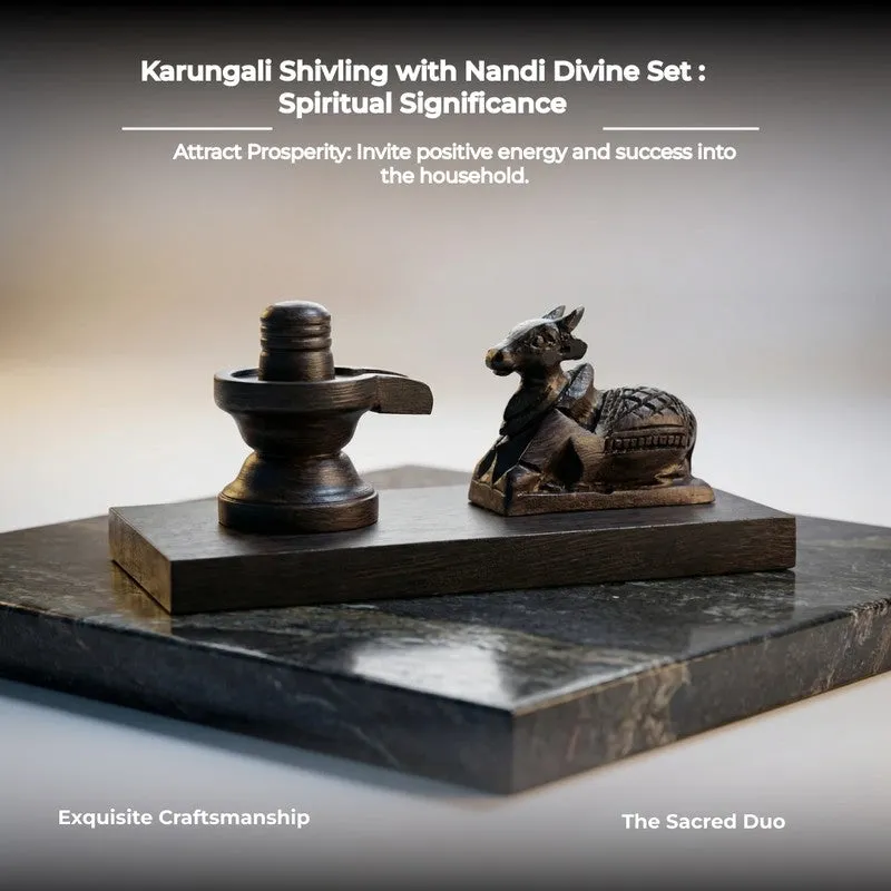 Nandi Shiva Lingam Wooden Idol media 7