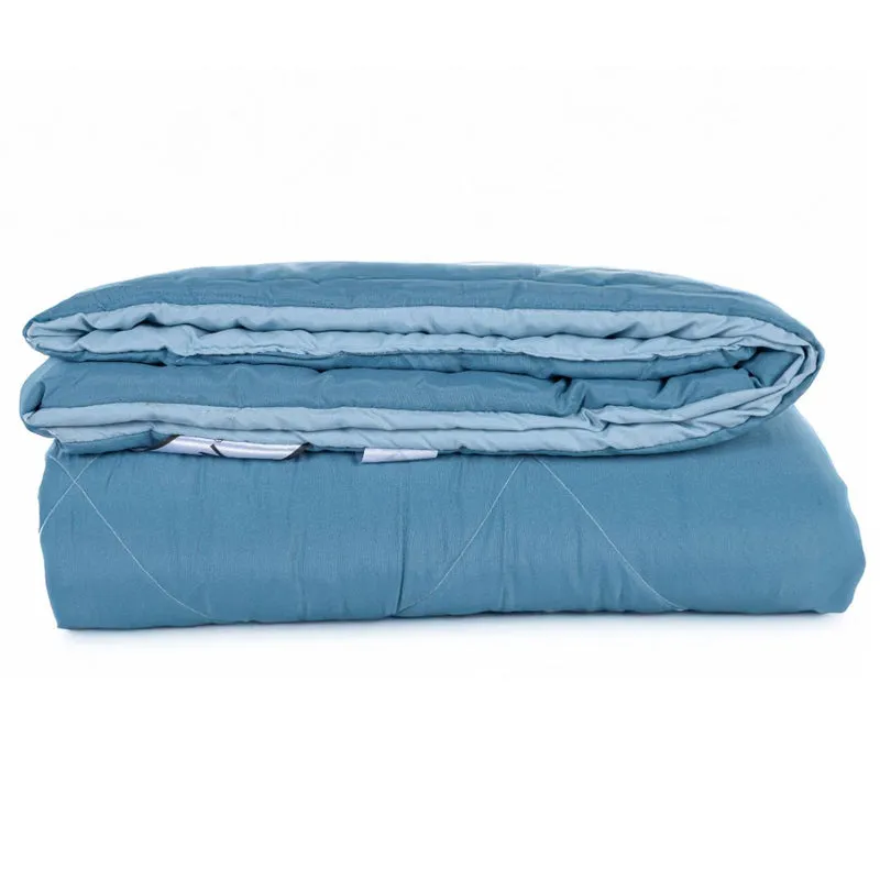 Lush Slumber Reversible Comforter (Blue) 90 GSM media 8