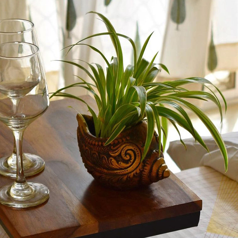 Terrapod Terracotta Planter - Set Of Two media 6