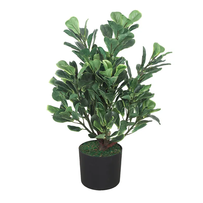 Botanic Aura Artificial Plant With Black Plastic Pot media 4