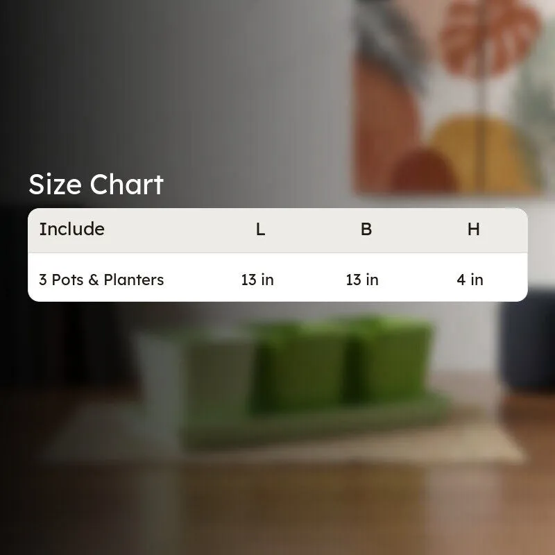Herbster Planter - Set Of Three media 9