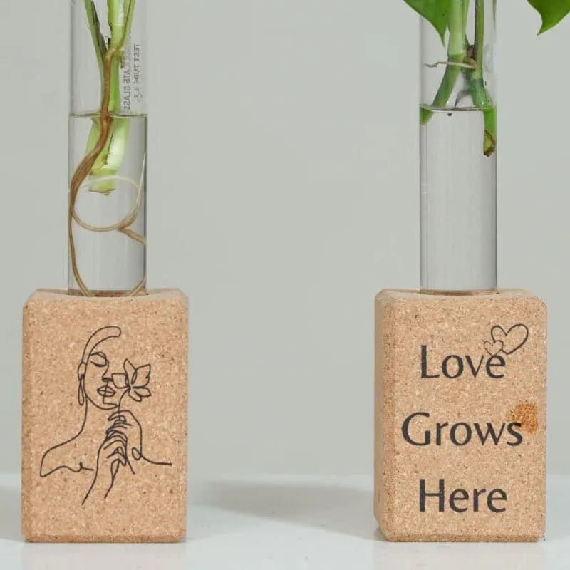 Inspire Cork Testube Planter media 4