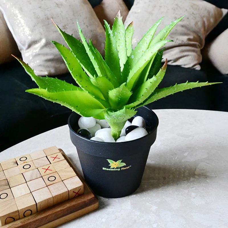 Alvera Artificial Aloe Vera Plant With Black Plastic Pot - Green media 4