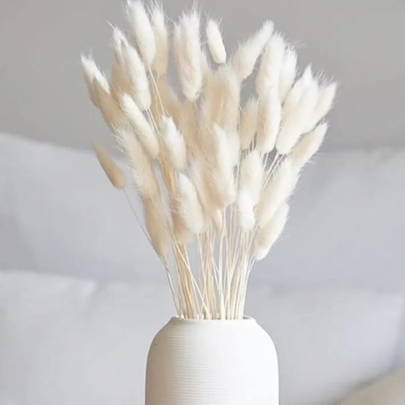 Cloudtail Dried Bunny Tail Stem (White) - Set Of Sixty media 3