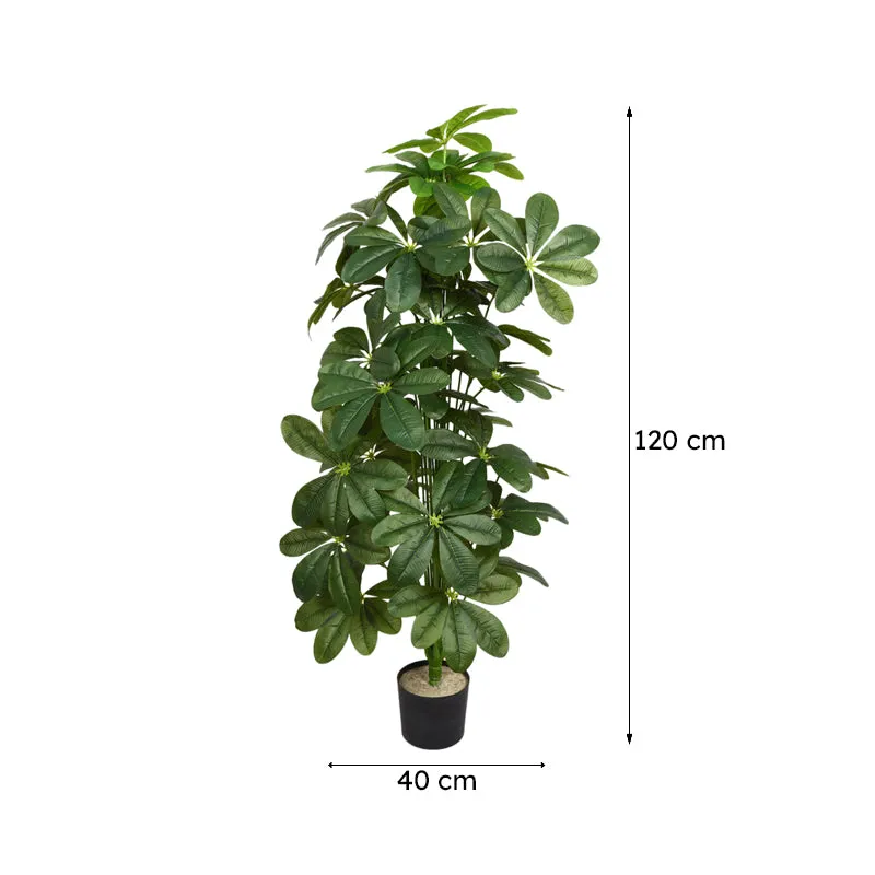 Verdiq Artificial Schefflera With Black Plastic Pot - 4 Feet media 7