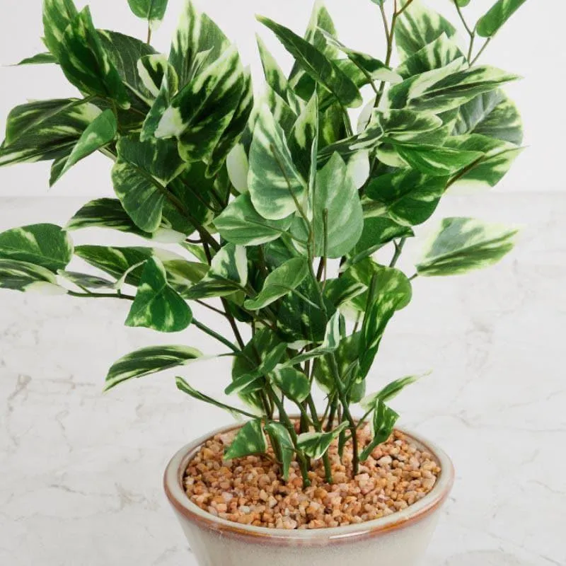 Faux Pothos Bonsai In Cone Pot (42 cms) - Small media 3