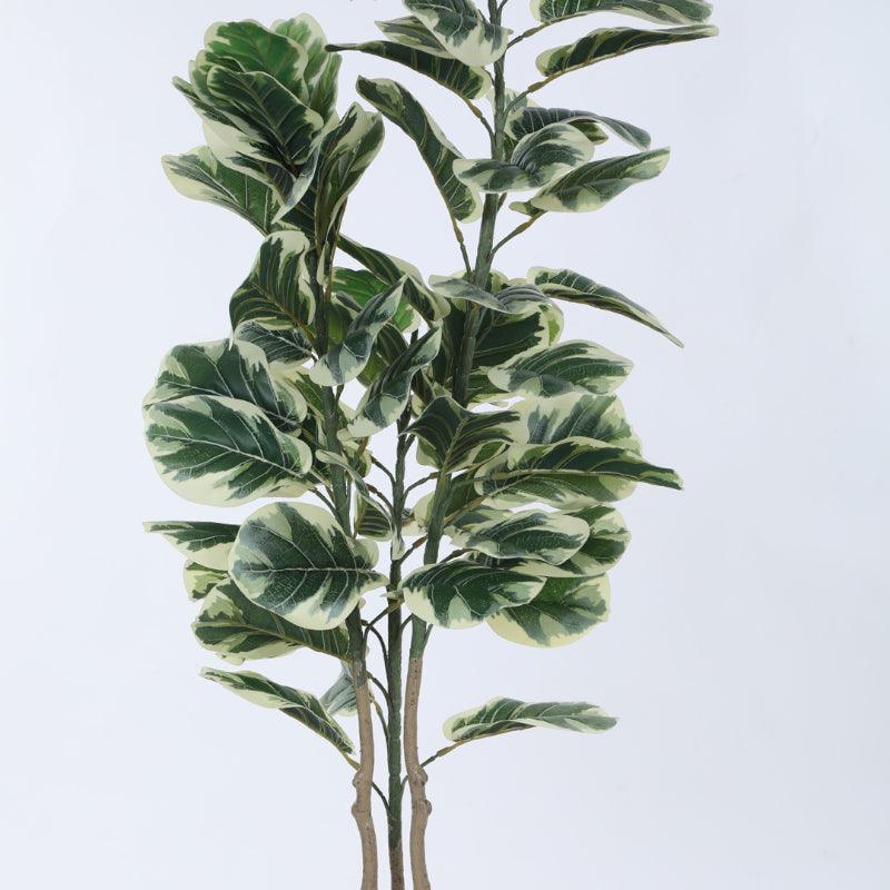 Faux Fiddle Leaf Fig Plant With Black Plastic Pot - 4.92 ft media 6