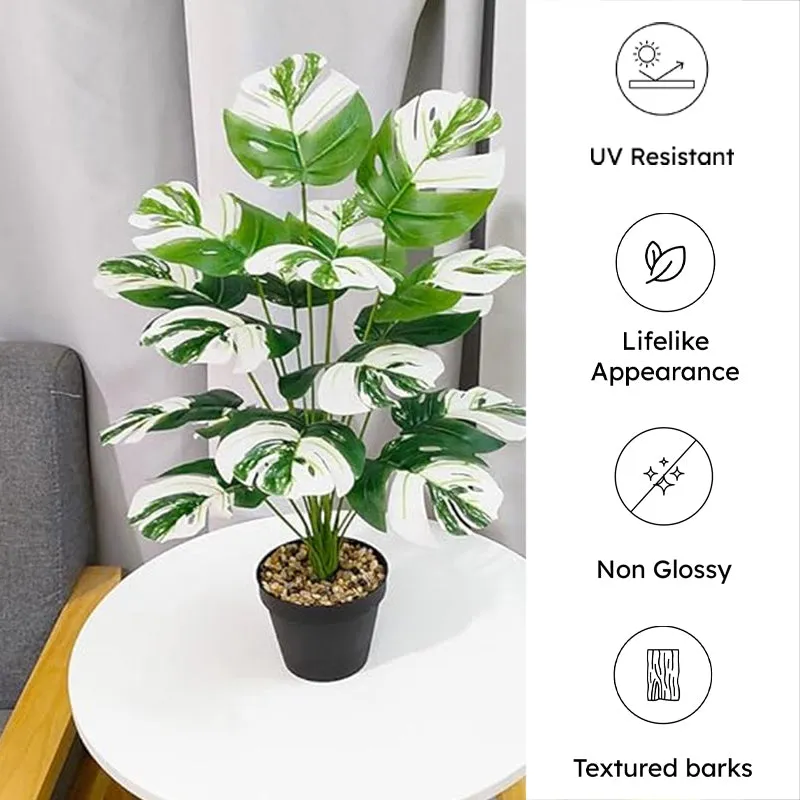 Faux Monstera Variegata Plant With Black Plastic Pot - 2.1 Feet media 5