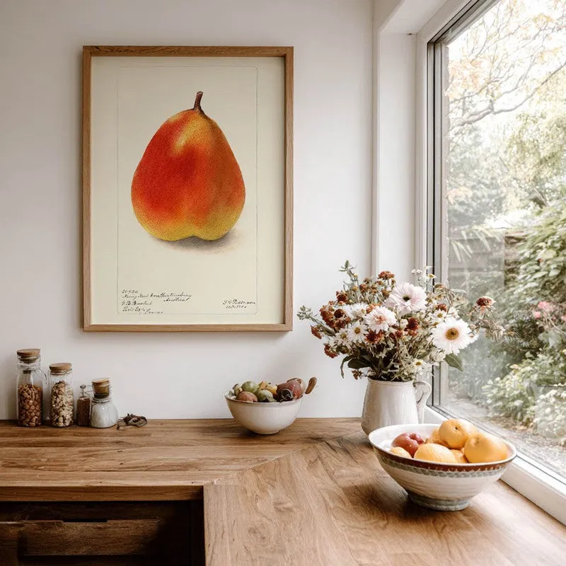 FruitPunch Archival Canvas Wall Art - Brown media 7