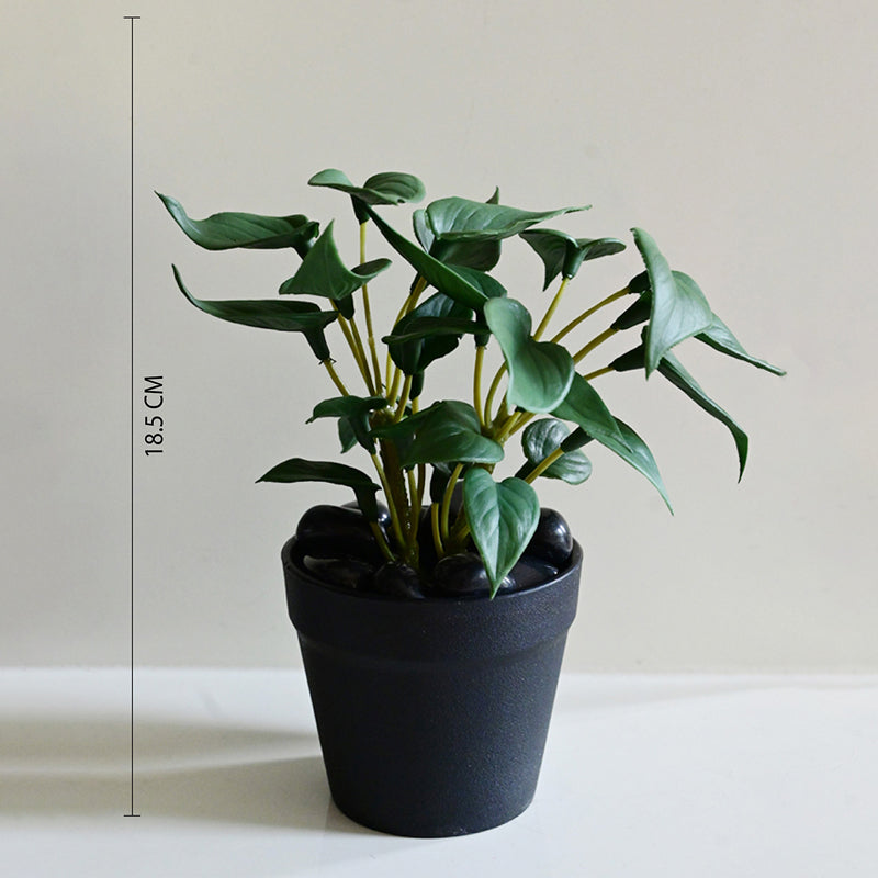 Moniva Artificial Pothos/Money Plant With Black Plastic Pot (Dark Green) - 19 cm media 7