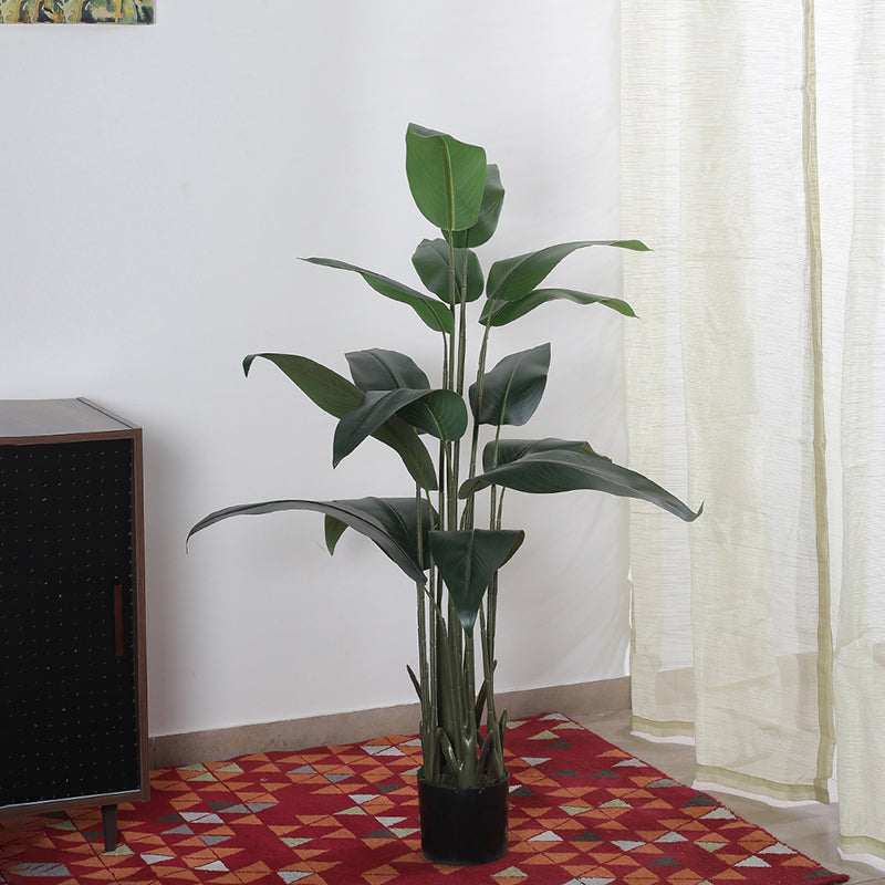 Artificial Bird Of Paradise Plant With Basic Black Plastic Pot - 4.9 ft media 4