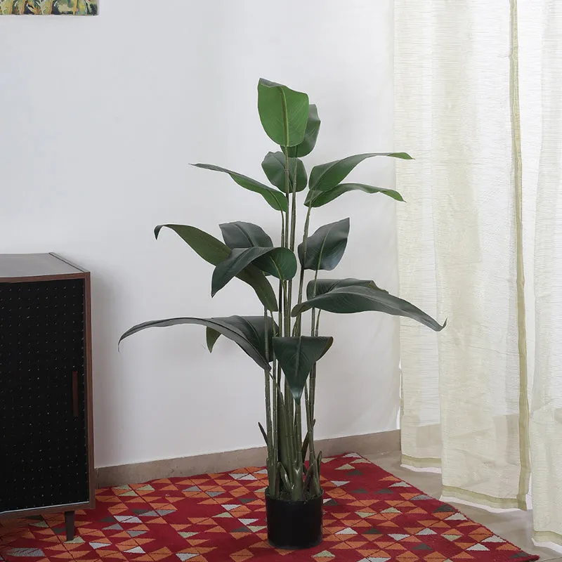 Artificial Bird Of Paradise Plant With Basic Black Plastic Pot - 4.9 ft media 4