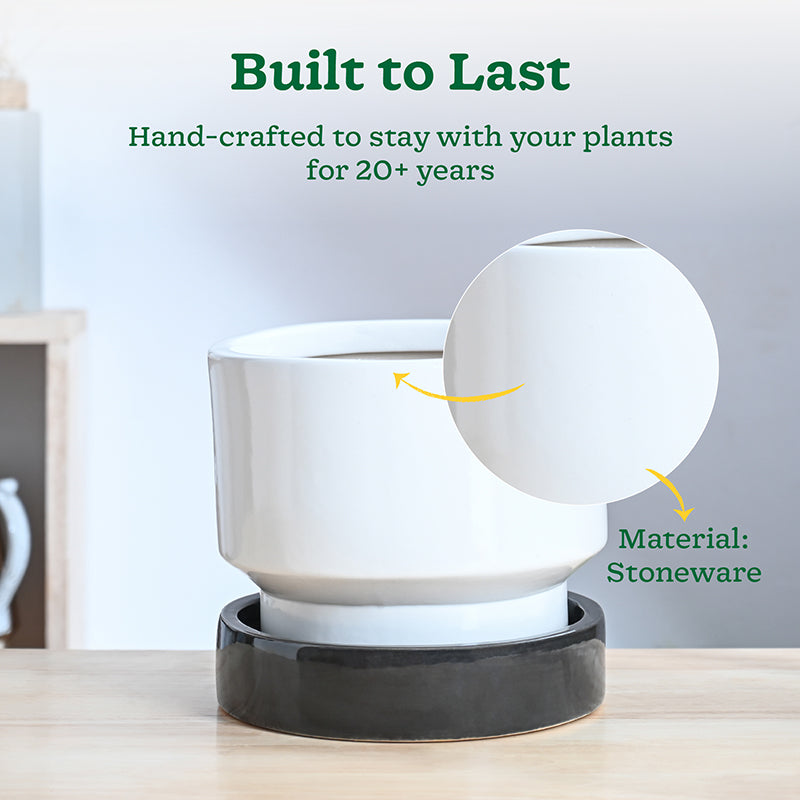 Ugaoo Pot-fection Ceramic Planter - White & Dark Grey media 4