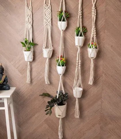 Cotton